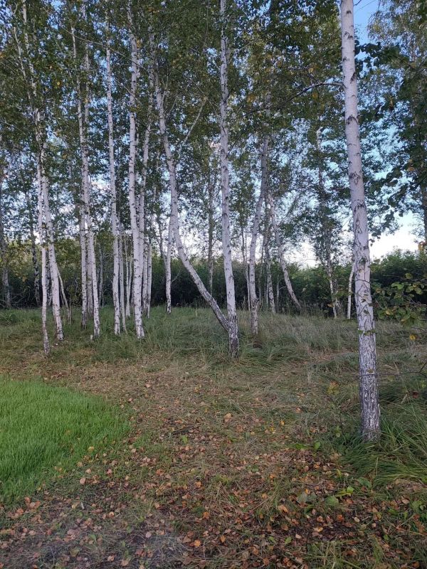 Красота природы Зауралья Красота природы Зауралья
