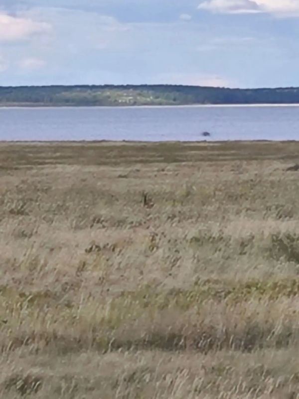 Красота природы Зауралья Красота природы Зауралья