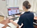 В Кургане по сообщению о скоплении безнадзорных собак организована доследственная проверка