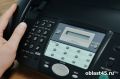 Кредиторы звонили девушке без долгов 63 раза: компания заплатила штраф в Кургане