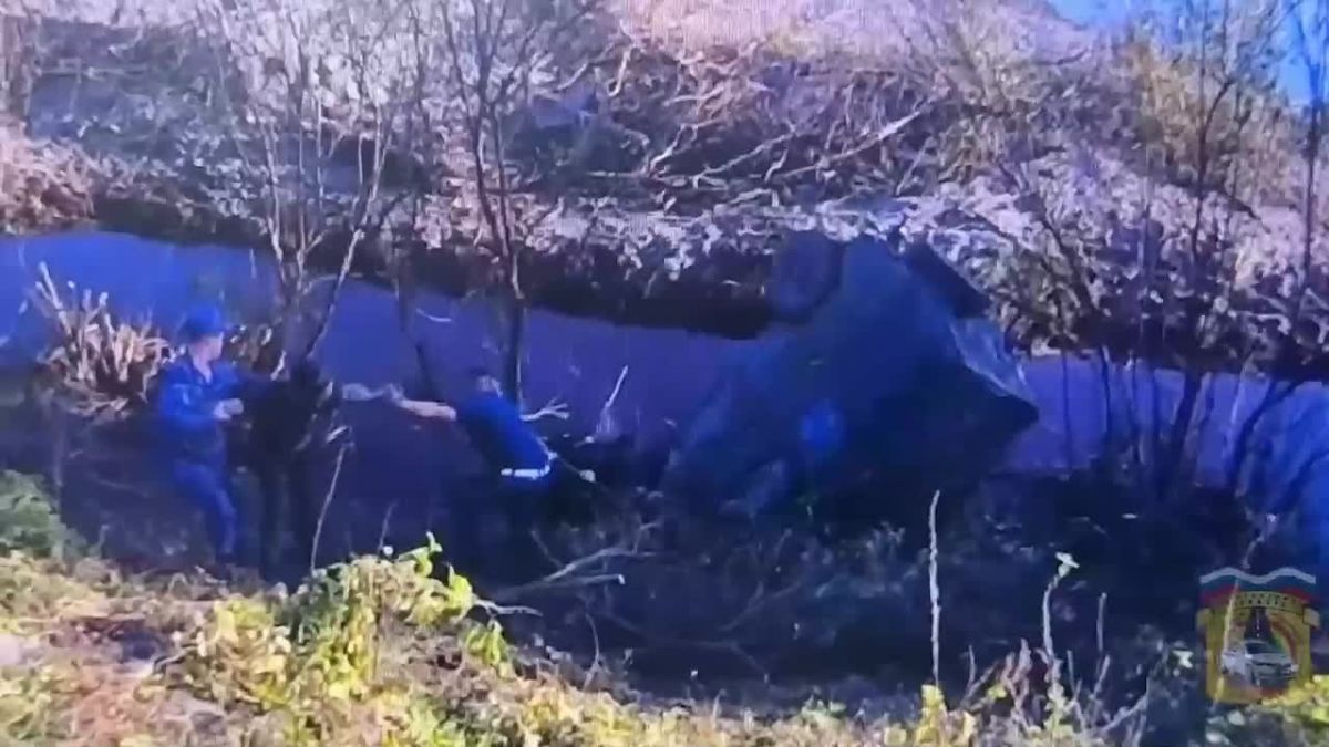 Люди выстроились в живую цепь для спасения тонущего водителя из реки в Курганской области