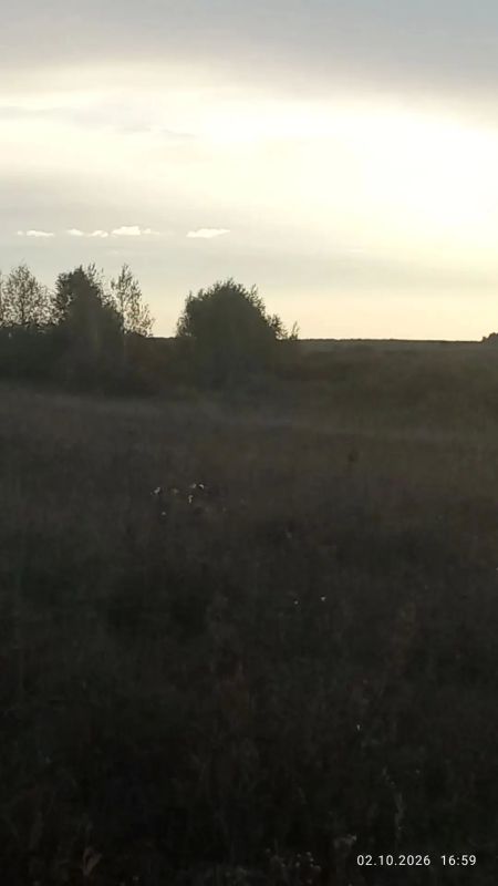 Красоты природы востока области Красоты природы востока области