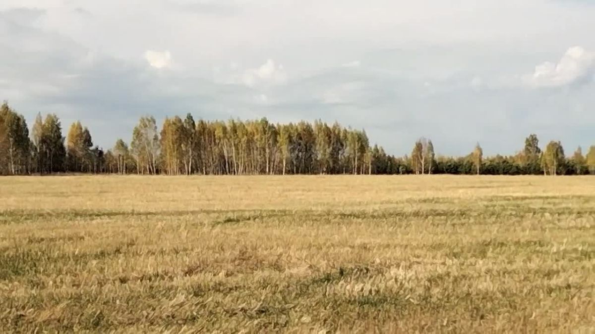 Осенний дозор в Матвеевском охотничьем угодье Целинного муниципального округа