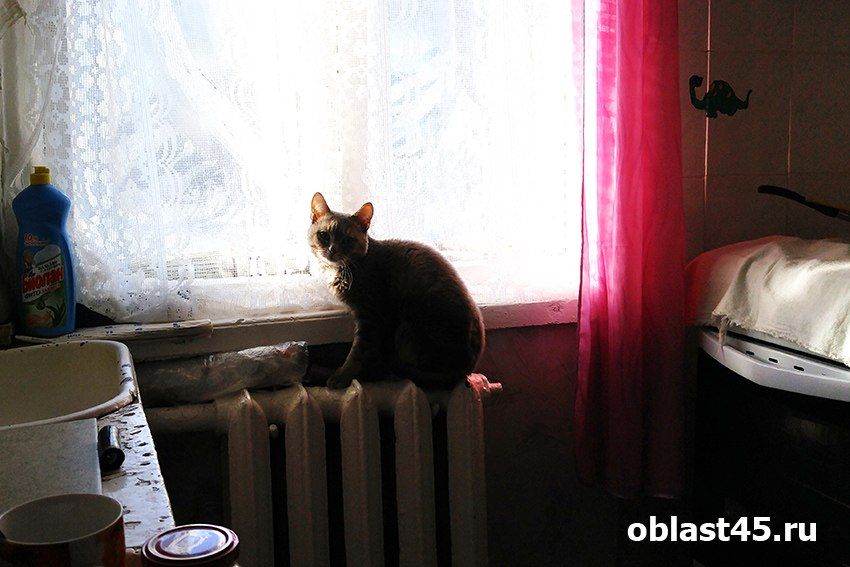Что делать, если батареи в Кургане снова остыли: совет специалистов