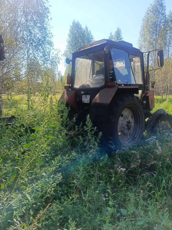 Забота о лесных обитателях в Петрушинском охотхозяйстве Забота о лесных обитателях в Петрушинском охотхозяйстве