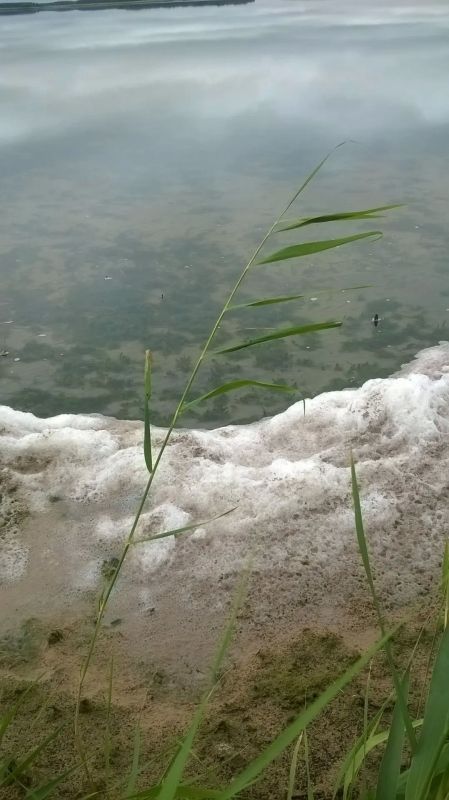 В Макушинском округе Курганской области природа создала уникальный ландшафт из более чем пятисот озер В Макушинском округе Курганской области природа создала уникальный ландшафт из более чем пятисот озер