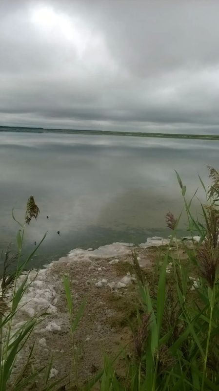 В Макушинском округе Курганской области природа создала уникальный ландшафт из более чем пятисот озер В Макушинском округе Курганской области природа создала уникальный ландшафт из более чем пятисот озер