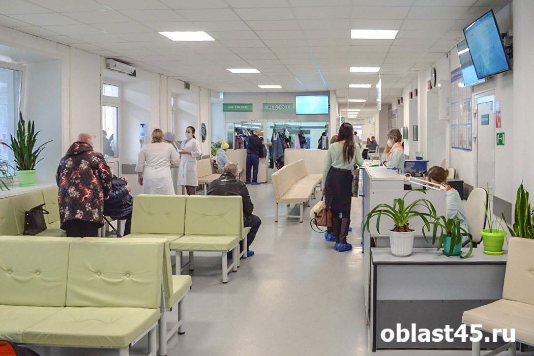 Цифровое поле: глава курганского депздрава рассказала, как легко записаться на приём к врачу