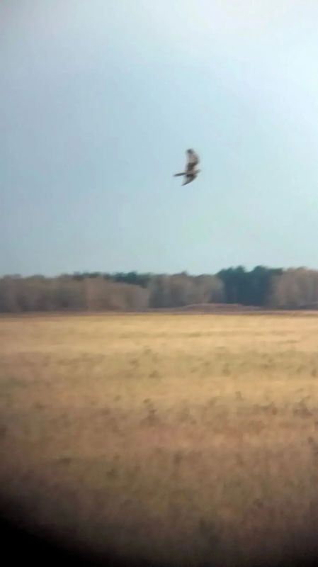 Озера Целинного округа, мероприятия в рамках постоянного рейда Озера Целинного округа, мероприятия в рамках постоянного рейда