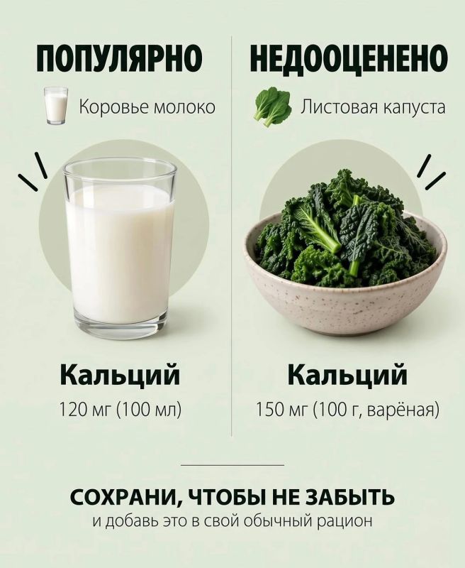 Секреты здорового питания: выбираем чемпионов по полезным веществам Секреты здорового питания: выбираем чемпионов по полезным веществам