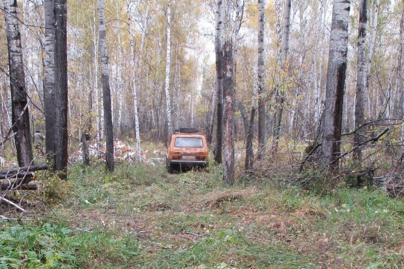 В Шатровском округе полицией задержан подозреваемый в незаконной рубке лесных насаждений В Шатровском округе полицией задержан подозреваемый в незаконной рубке лесных насаждений