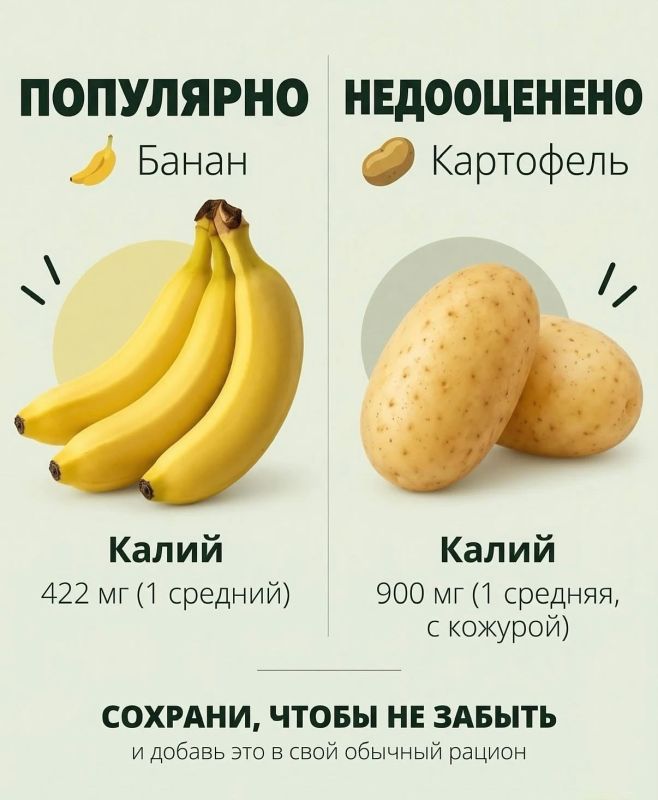 Секреты здорового питания: выбираем чемпионов по полезным веществам Секреты здорового питания: выбираем чемпионов по полезным веществам