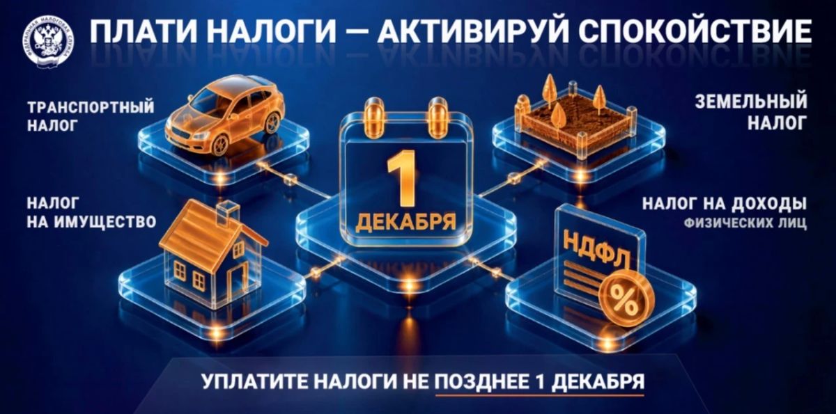 Жителям Курганской области: началась рассылка налоговых уведомлений! Жителям Курганской области: началась рассылка налоговых уведомлений!