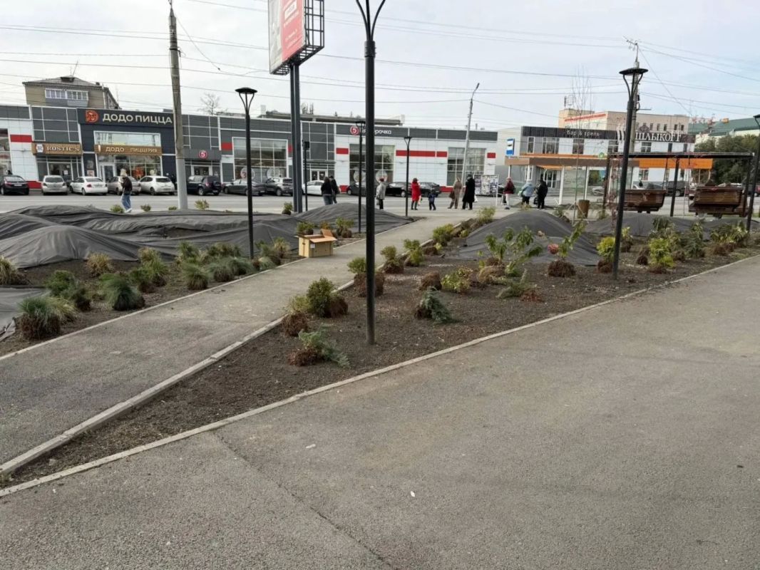 Многолетние кустарники из кашпо пересаживают в грунт в новом сквере в центре города Многолетние кустарники из кашпо пересаживают в грунт в новом сквере в центре города