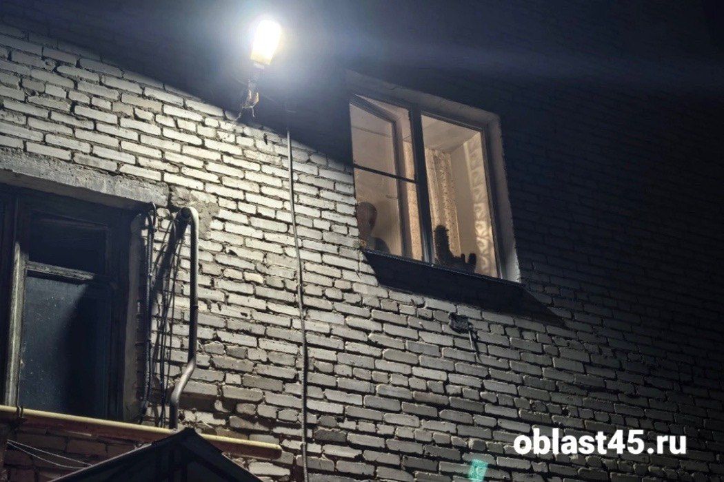 «Сидят по квартирам»: курганцев пока не эвакуируют из подъезда, где обвалилась лестница