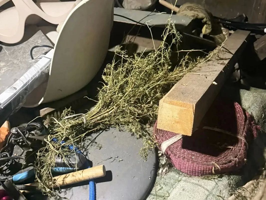 Курганские полицейские изъяли у 42-летнего гражданина 130 граммов конопли