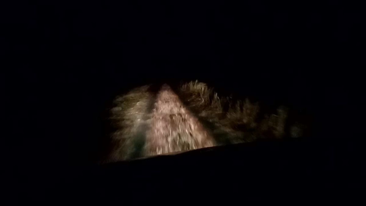 Мероприятия в рамках постоянного рейда в охотугодьях муниципальных округов южного сектора отдела надзора Управления в ночь на двадцатое октября совместно с сотрудниками полиции