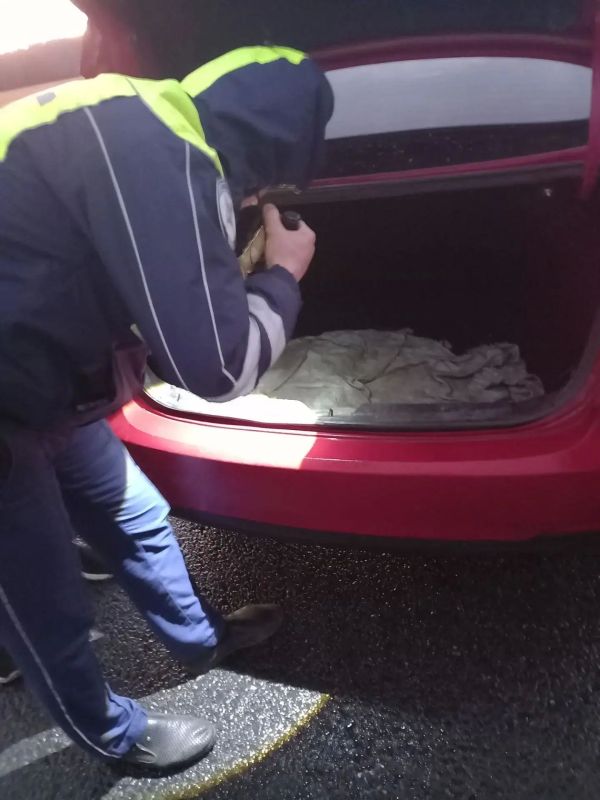 Мероприятия в рамках постоянного рейда в охотугодьях муниципальных округов южного сектора отдела надзора Управления в ночь на двадцатое октября совместно с сотрудниками полиции Мероприятия в рамках постоянного рейда в охотугодьях муниципальных округов южного сектора отдела надзора Управления в ночь на двадцатое октября совместно с сотрудниками полиции