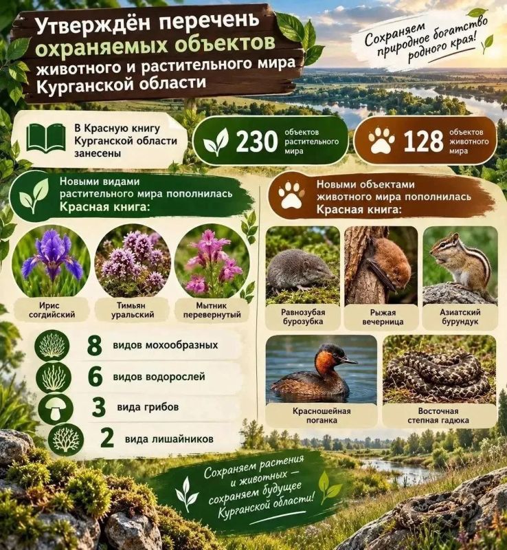 Куртамышский государственный заказник, красношейная поганка Куртамышский государственный заказник, красношейная поганка