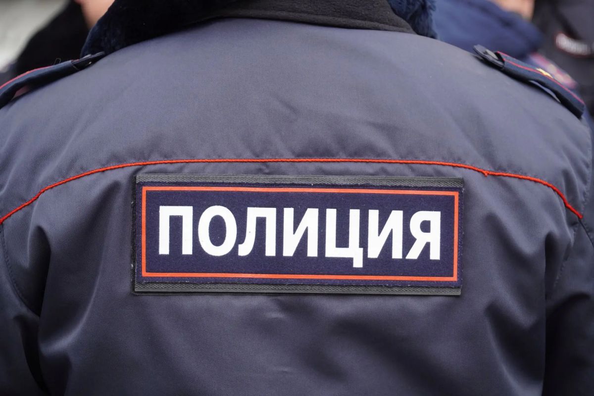Сотрудники зауральской полиции раскрыли три имущественных преступления, совершенных подростками в Шатровском округе
