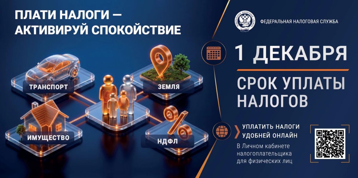 До 1 декабря нужно оплатить налоги за 2025 год!
