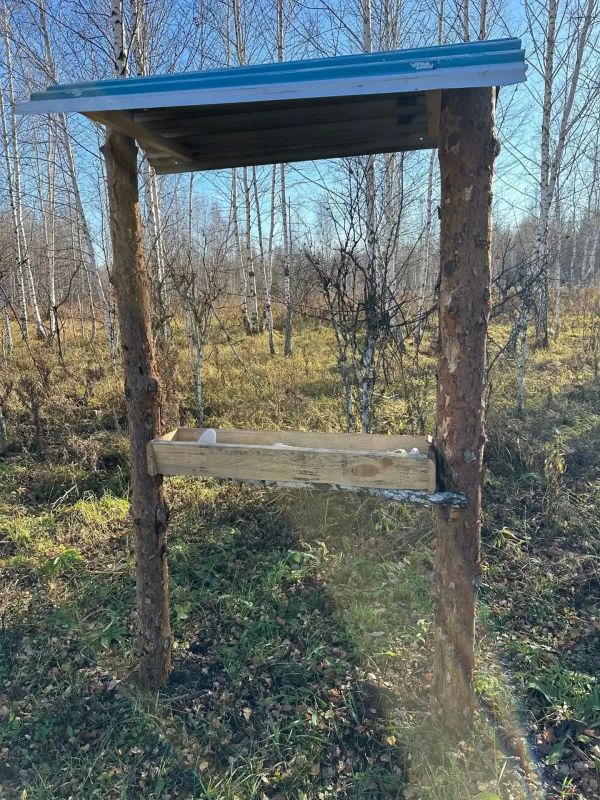 Ремонт солонцов, выкладка соли, установка - обновление аншлагов в Тамакульском охотугодьи Далматовского округа Ремонт солонцов, выкладка соли, установка - обновление аншлагов в Тамакульском охотугодьи Далматовского округа
