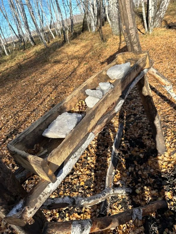Ремонт солонцов, выкладка соли, установка - обновление аншлагов в Тамакульском охотугодьи Далматовского округа Ремонт солонцов, выкладка соли, установка - обновление аншлагов в Тамакульском охотугодьи Далматовского округа