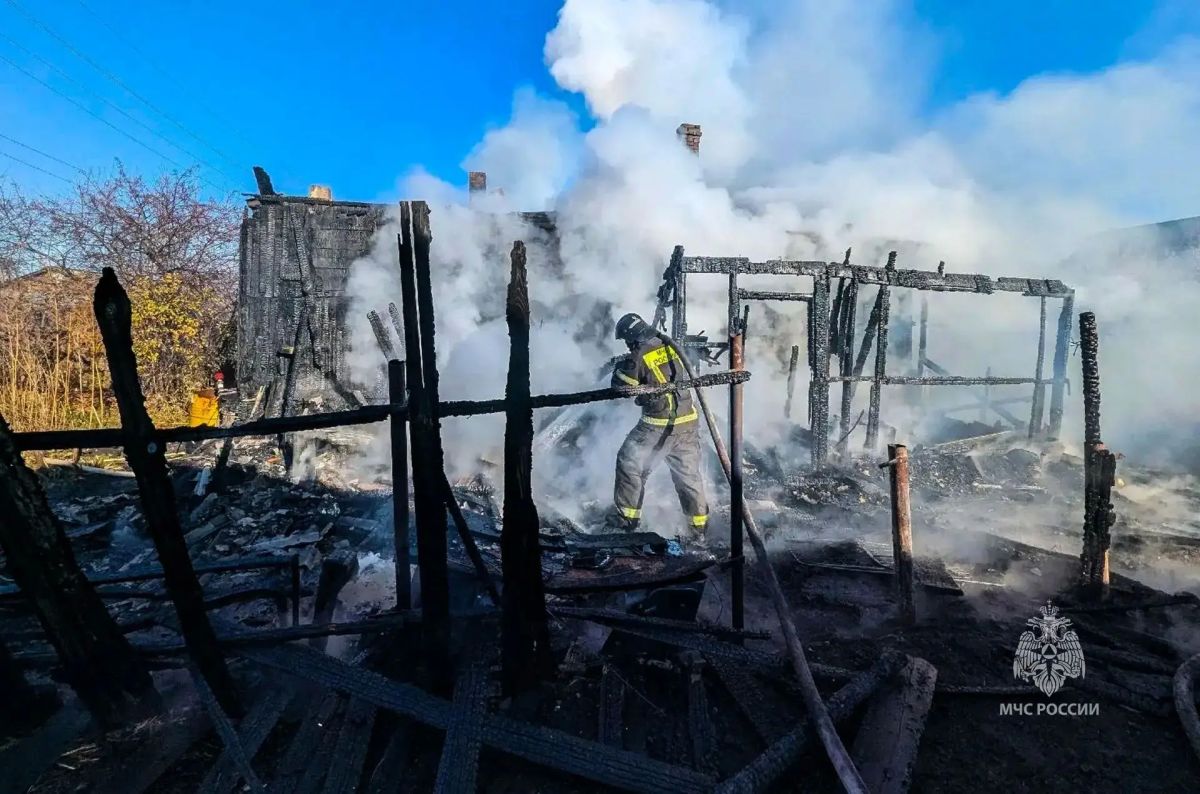Неисправное электрооборудование привело к крупному пожару в Курганской области Неисправное электрооборудование привело к крупному пожару в Курганской области