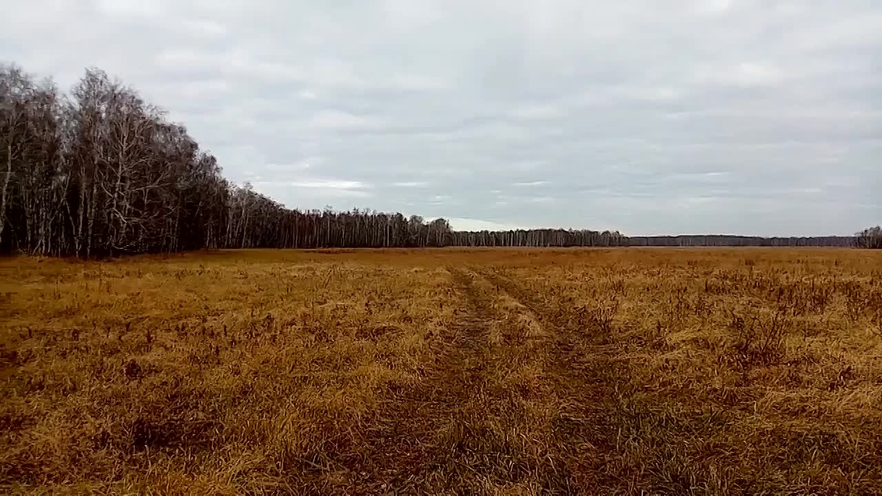 Мероприятия в рамках постоянного рейда Половинский муниципальный округ!