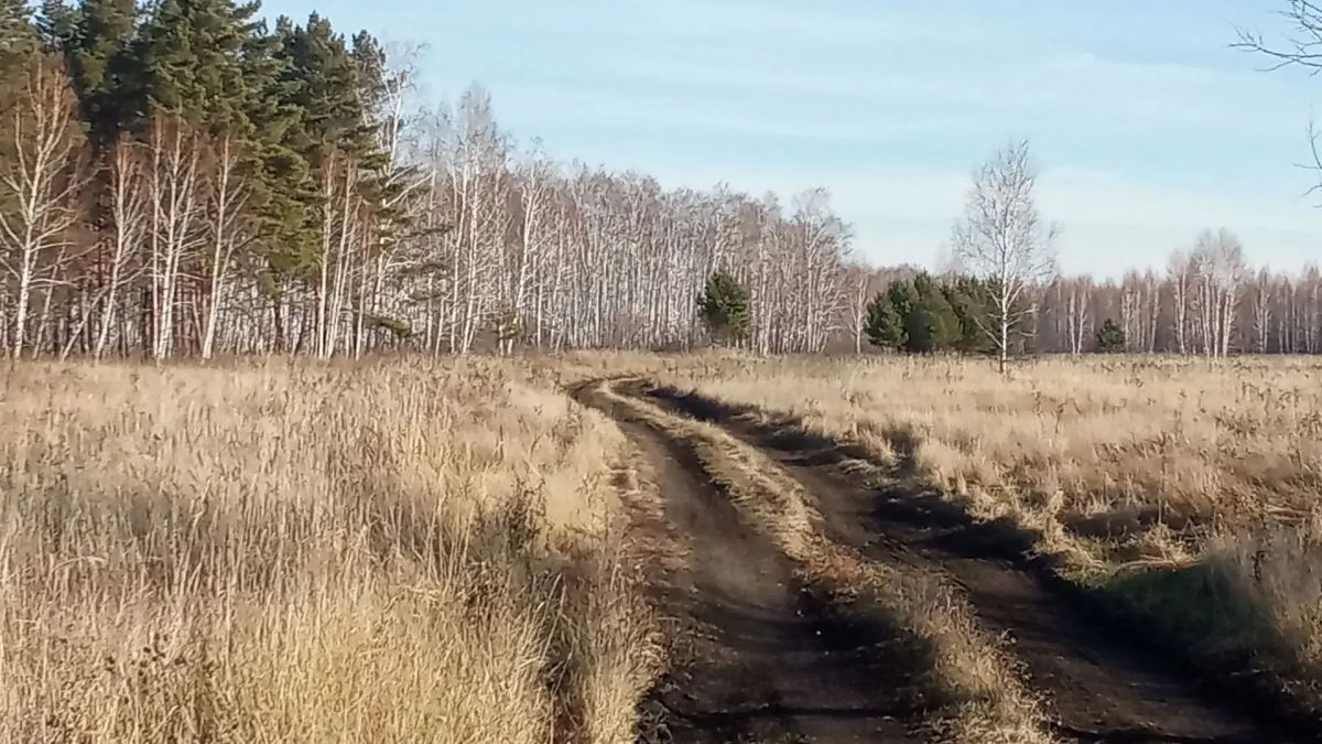 Зарисовки зачаровывающей природы Востока области Зарисовки зачаровывающей природы Востока области